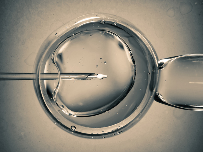 IVF Treatment